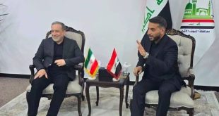 عراقچی پس از کربلا وارد نجف شد؛ استقبال رسمی استاندار نجف